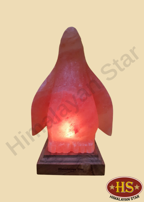 Himalayan Star